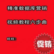 精准数据库营销高清视频教程全集